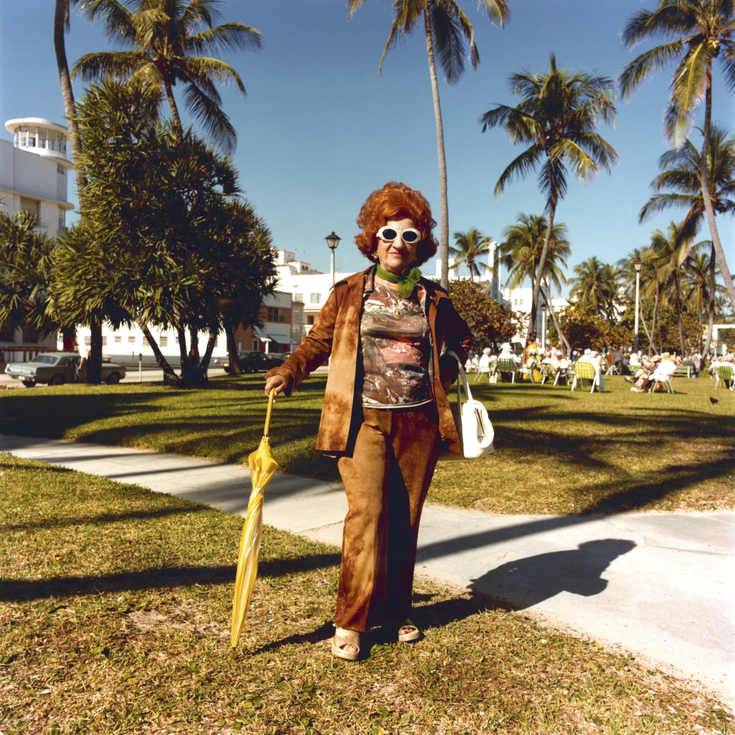 MIAMI - JUNGLELAND  The Lonesome Photographer