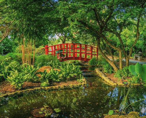 Ichimura Japanese Garden