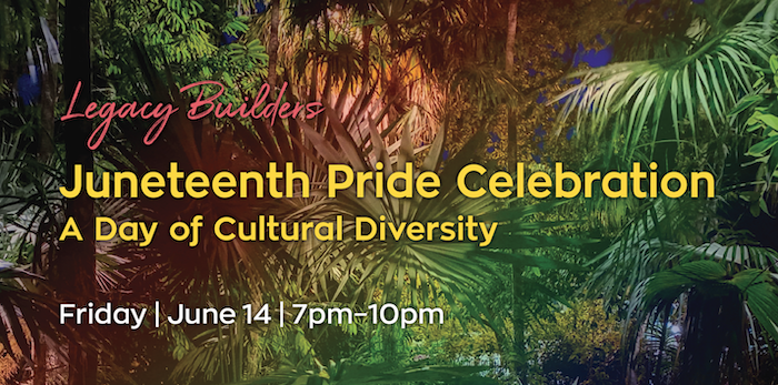 Juneteenth Pride Celebration – A Day of Cultural Diversity