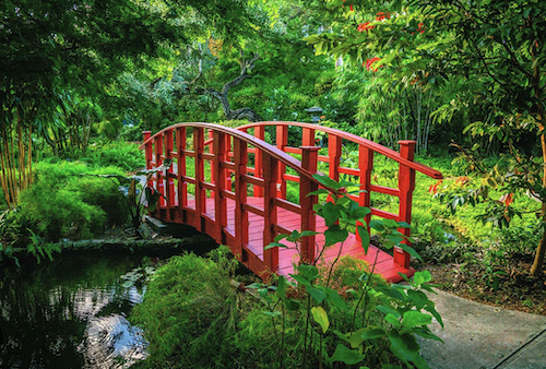 Miami Beach Botanical Garden